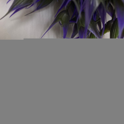 Изображение Боковой топпер One акрил СЕРЕБРО, 9,5*6,5 см (МАЛ-7)